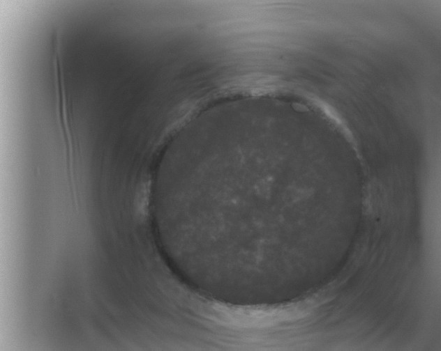 X0000069390018200605262128