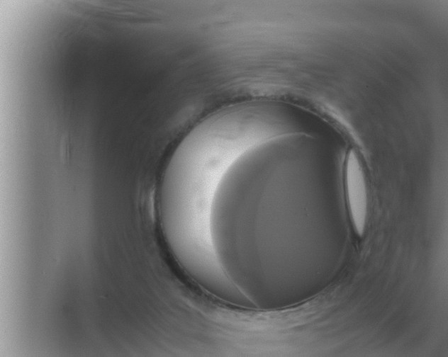 X0000069390019200605262128