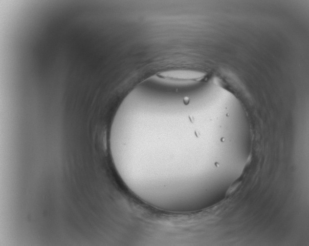 X0000069390021200605262128