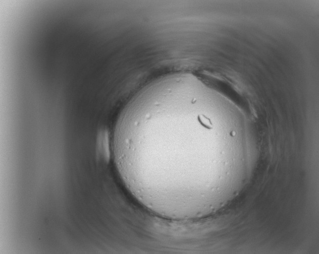 X0000069390022200605262128