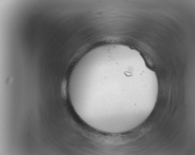 X0000069390024200605262128