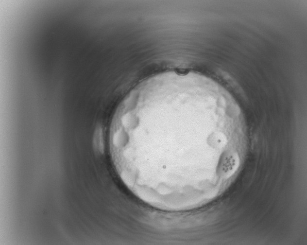 X0000069390026200605262128