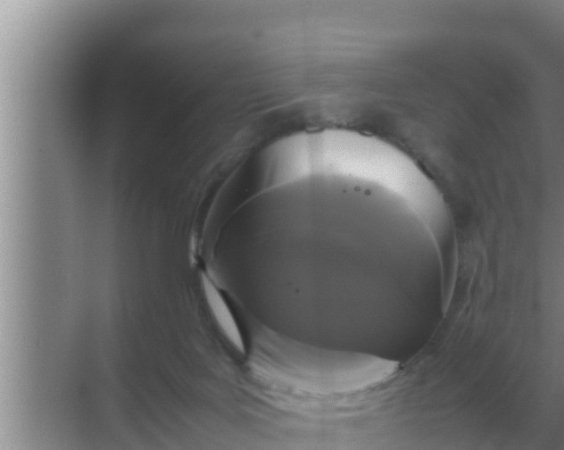 X0000069390027200605262128