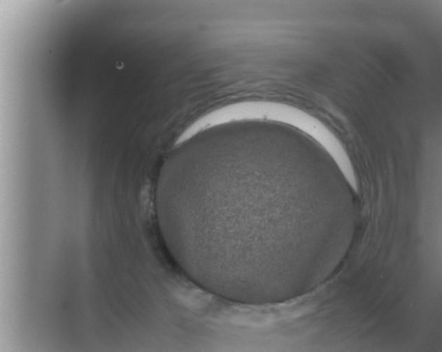 X0000069390029200605262128