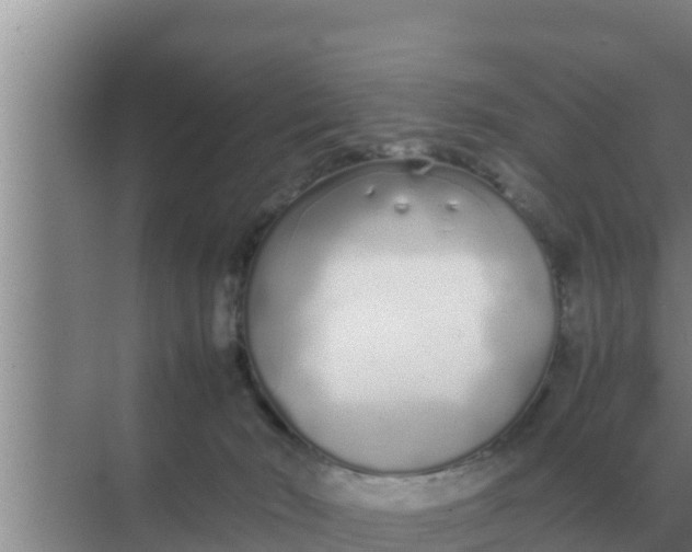 X0000069390030200605262128