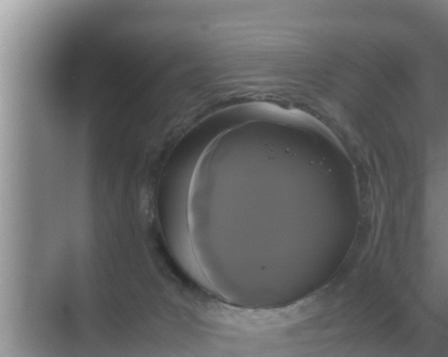 X0000069390031200605262128