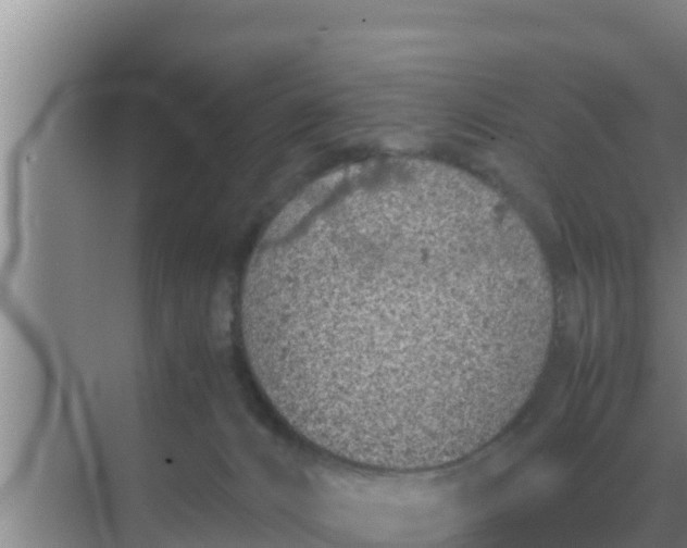 X0000069390032200605262128