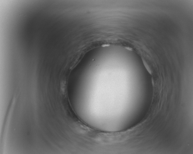 X0000069390033200605262128