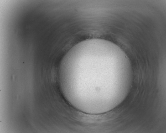 X0000069390034200605262128