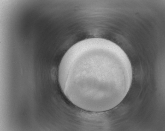 X0000069390036200605262128