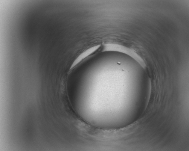 X0000069390037200605262128