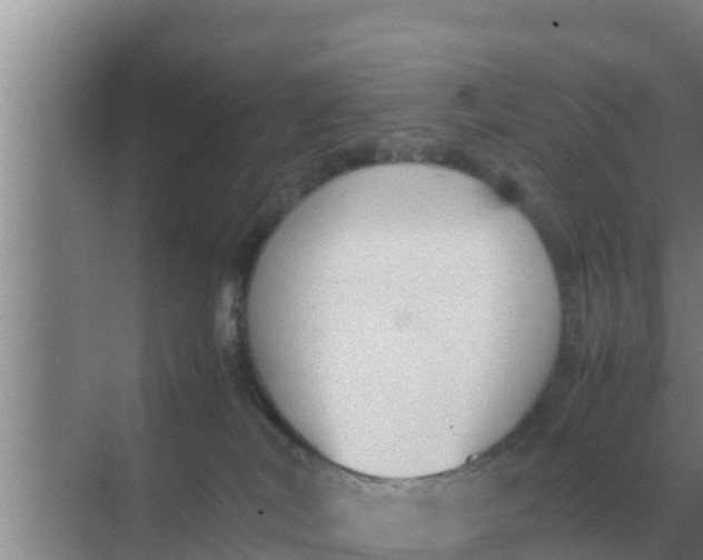 X0000069390038200605262128