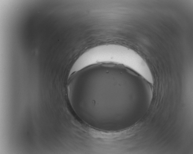 X0000069390039200605262128