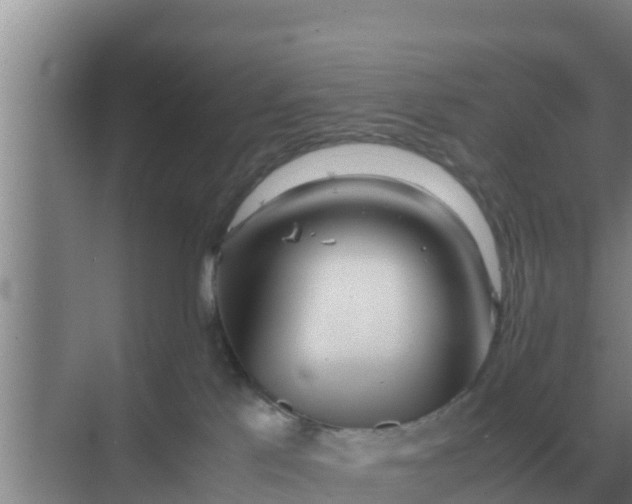 X0000069390041200605262128