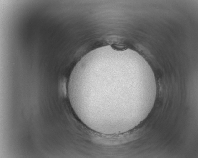 X0000069390042200605262128