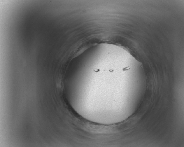 X0000069390044200605262128