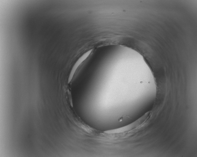 X0000069390045200605262128