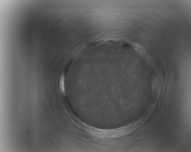 X0000069390046200605262128