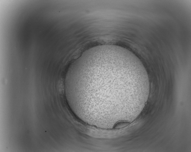 X0000069390048200605262128