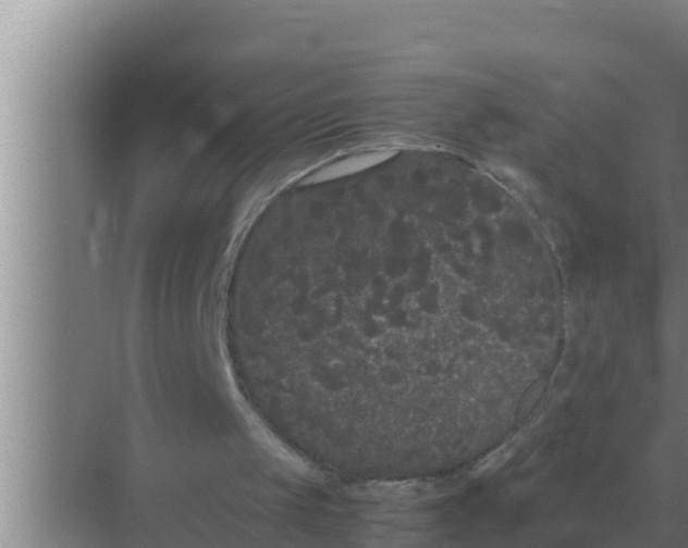 X0000069390049200605262127