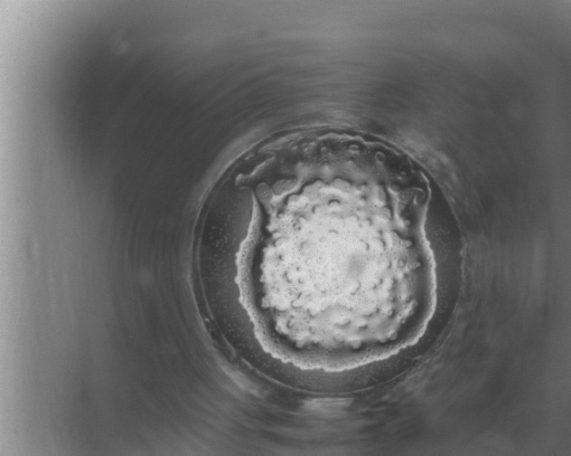 X0000069390051200605262127