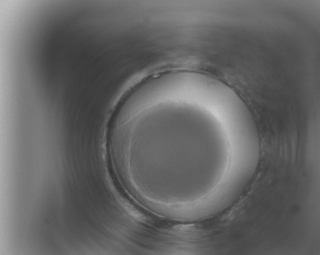 X0000069390054200605262127