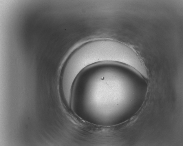 X0000069390056200605262127