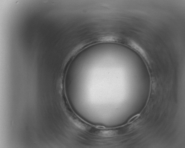 X0000069390059200605262127