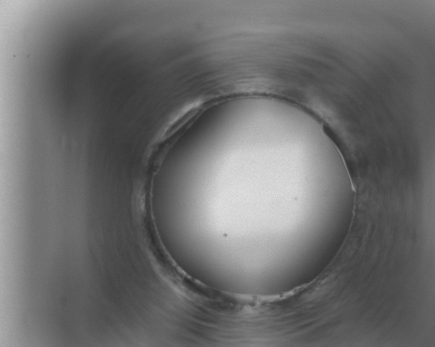 X0000069390060200605262127