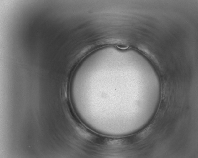 X0000069390062200605262127