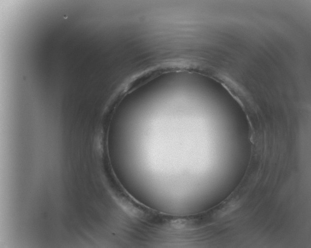 X0000069390064200605262127