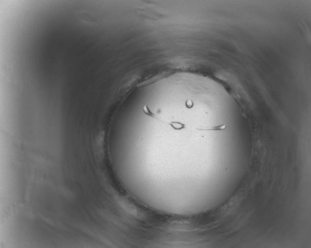 X0000069390066200605262127