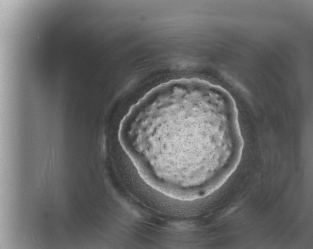 X0000069390067200605262127