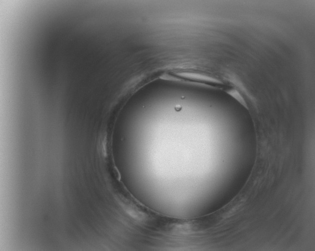 X0000069390068200605262127