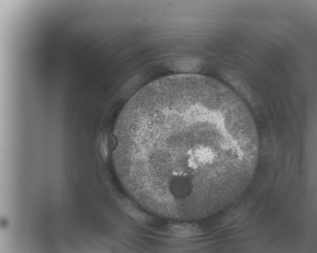 X0000069390069200605262127