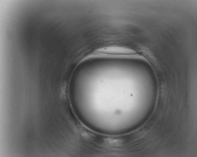 X0000069390073200605262127