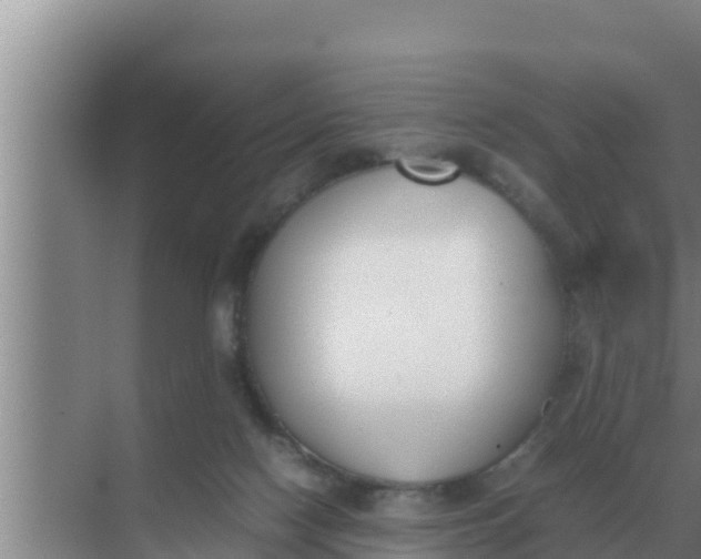 X0000069390074200605262127