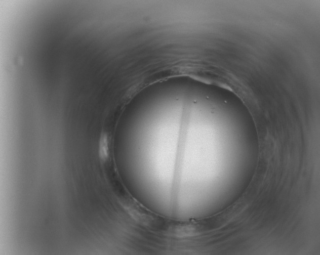 X0000069390075200605262127