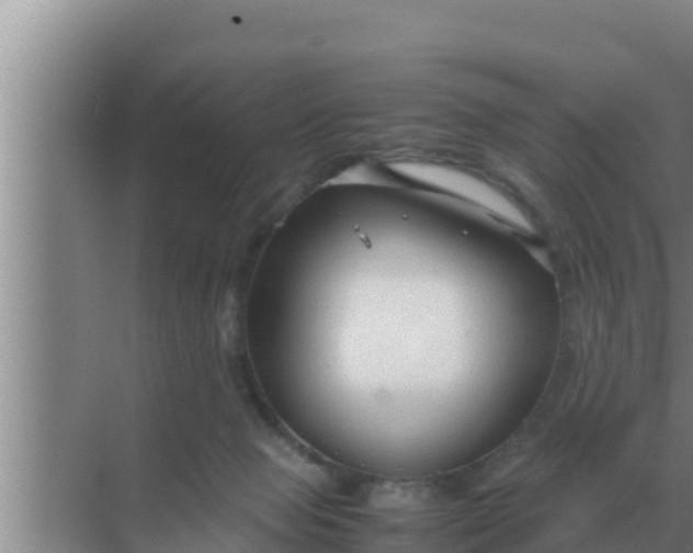 X0000069390077200605262127