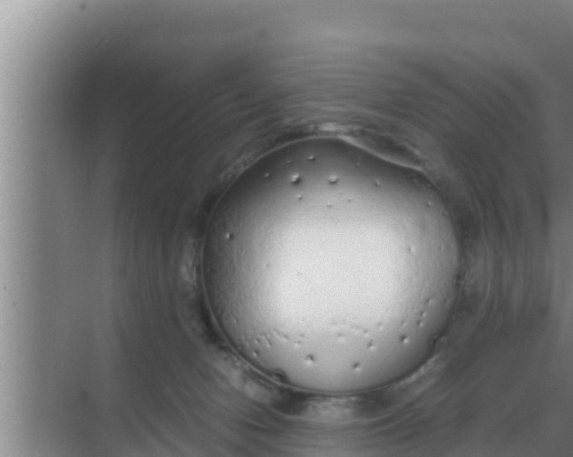 X0000069390078200605262127