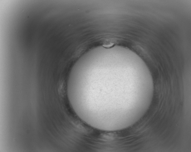 X0000069390079200605262127