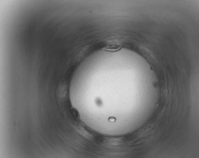 X0000069390081200605262127