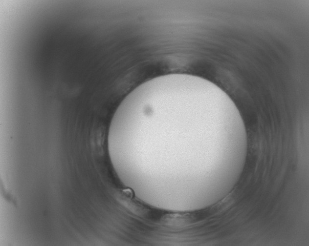 X0000069390082200605262127