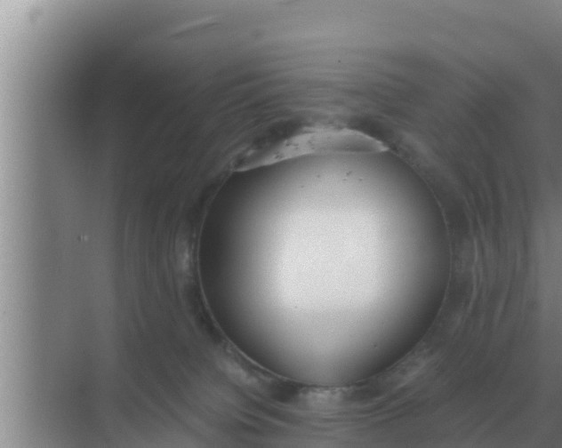 X0000069390084200605262127