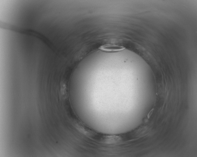 X0000069390087200605262127