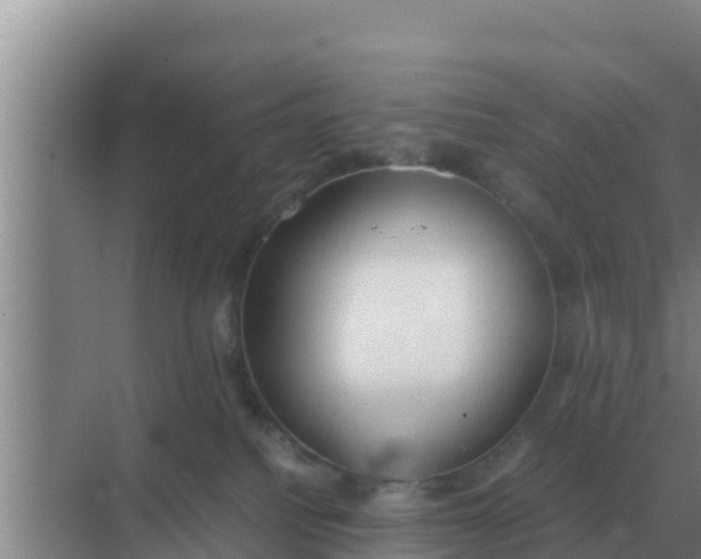 X0000069390088200605262127