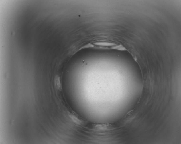 X0000069390089200605262127