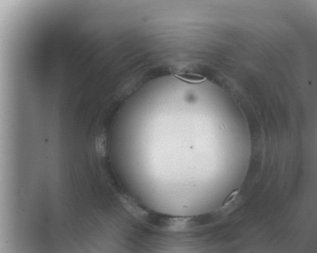 X0000069390090200605262127