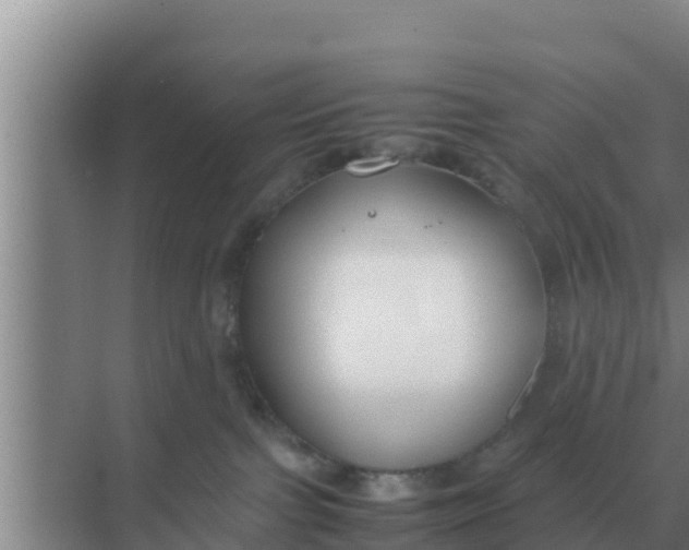 X0000069390091200605262127