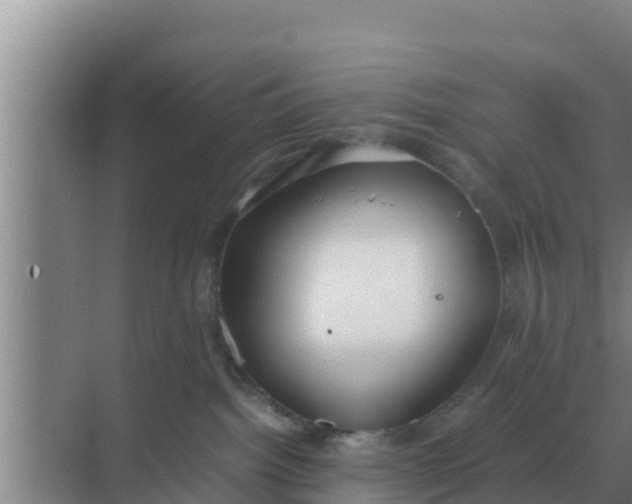 X0000069390092200605262128